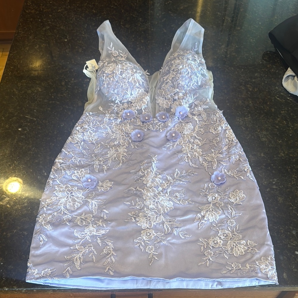 Elegant Lavender Lace Dress